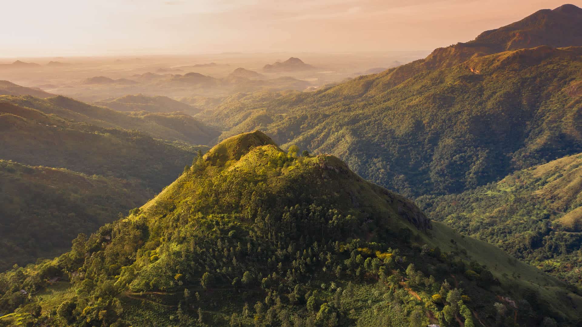 Little Adam's Peak Ella